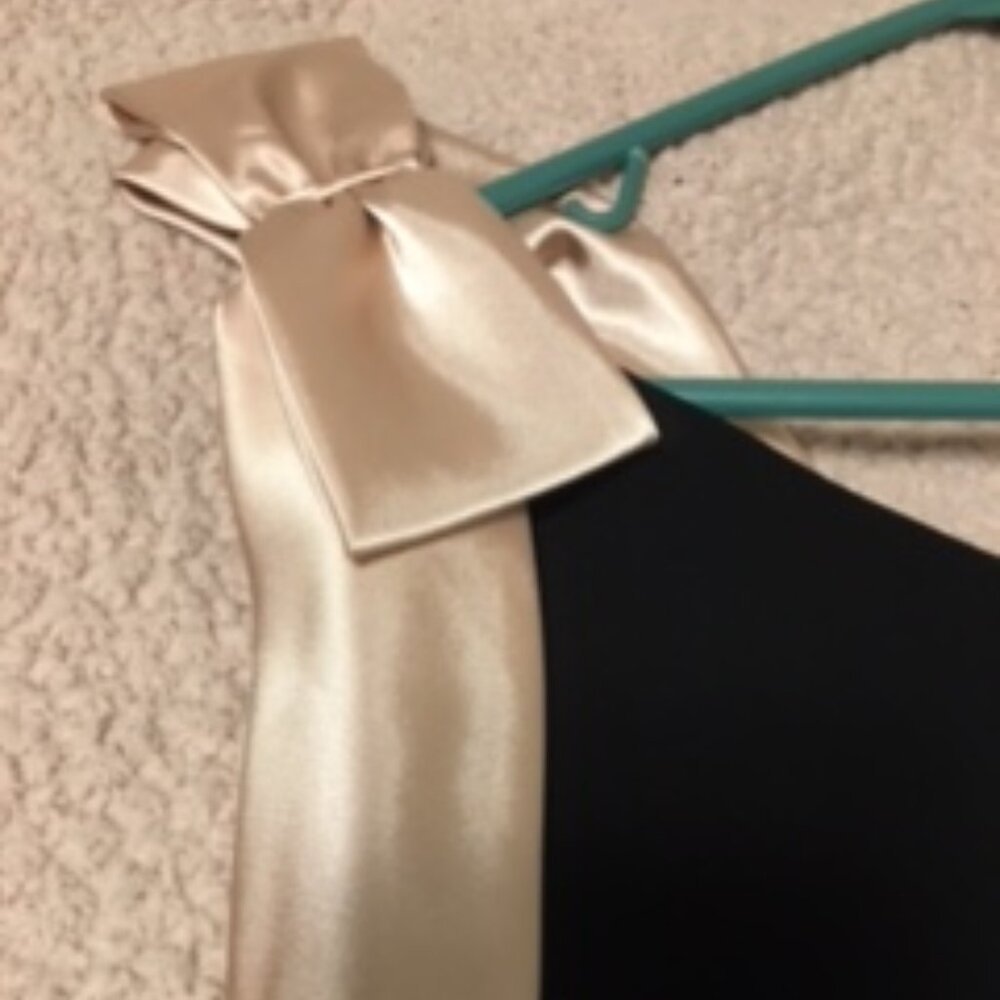 Vintage NEW with Tags  S.L. Fashions Evening Dress  Size 16